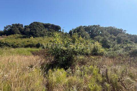 Helårsgrund i Mafra, Lisbon, Mafra - € 12.000 | Ref: 088250102 - foto 4