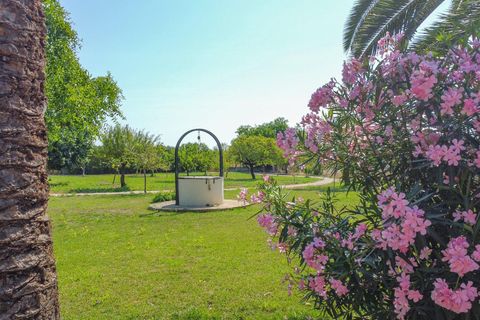 Landejendom i Binissalem, Mallorca, Binissalem - € 3.400.000 | Ref: 33500001_AA/11003 - foto 14