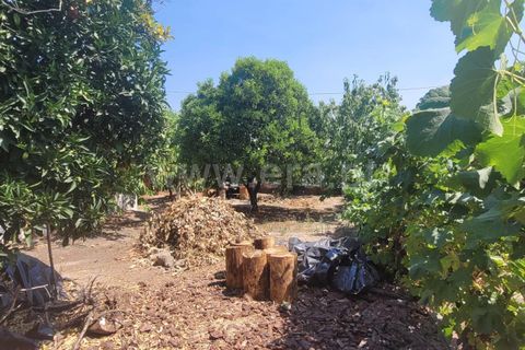 Villa i Fundao, Castelo Branco, Fundao - € 217.000 | Ref: 255250144 - foto 21