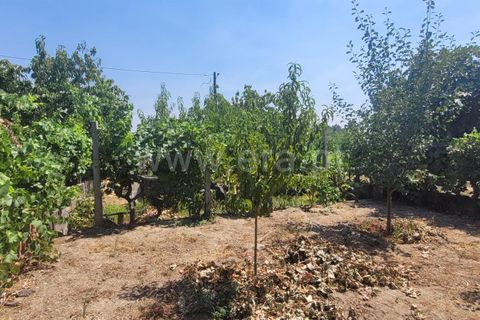 Villa i Fundao, Castelo Branco, Fundao - € 217.000 | Ref: 255250144 - foto 22