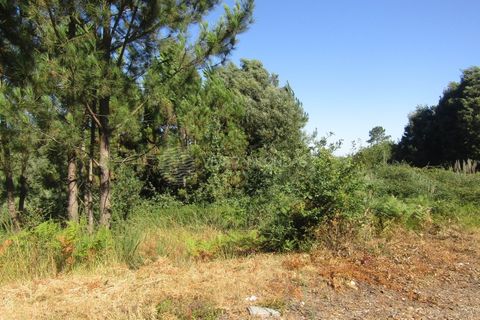 Helårsgrund i Sandim, Porto, Sandim - € 270.000 | Ref: PV-1184 - foto 5