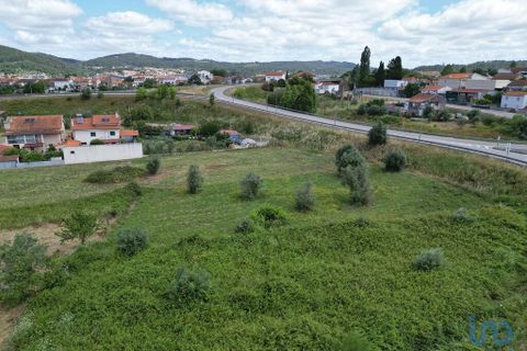 Helårsgrund i Miranda do Corvo, Coimbra, Miranda do Corvo - € 30.000 | Ref: 121730 - foto 5