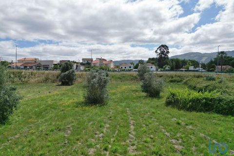 Helårsgrund i Miranda do Corvo, Coimbra, Miranda do Corvo - € 30.000 | Ref: 121730 - foto 9