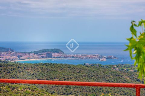Villa a Platja D'aro, Gerona, Platja D'aro - € 1.650.000 | Ref: PDA61968 - foto 2