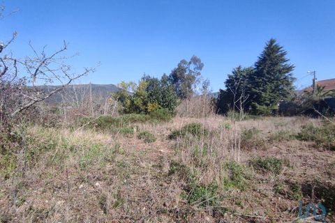 Terra a Ponte de Lima, Viana do Castelo, Ponte de Lima - € 269.000 | Ref: 71738 - foto 3