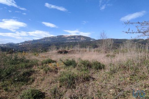 Terra a Ponte de Lima, Viana do Castelo, Ponte de Lima - € 269.000 | Ref: 71738 - foto 2