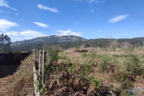 Terra a Ponte de Lima, Viana do Castelo, Ponte de Lima - € 269.000 | Ref: 71738 - foto 4