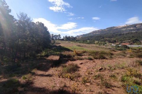 Terra a Ponte de Lima, Viana do Castelo, Ponte de Lima - € 269.000 | Ref: 71738 - foto 6