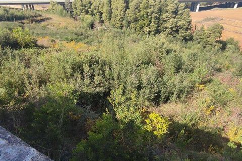 Terra a Ponte de Lima, Viana do Castelo, Ponte de Lima - € 269.000 | Ref: 71738 - foto 7