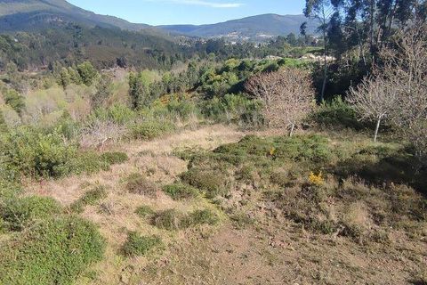 Terra a Ponte de Lima, Viana do Castelo, Ponte de Lima - € 269.000 | Ref: 71738 - foto 11