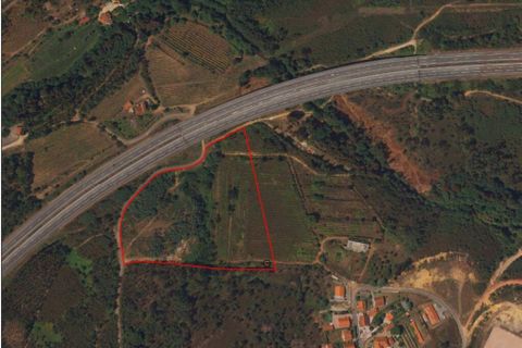 Terra a Ponte de Lima, Viana do Castelo, Ponte de Lima - € 269.000 | Ref: 71738 - foto 18