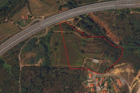 Terra a Ponte de Lima, Viana do Castelo, Ponte de Lima - € 269.000 | Ref: 71738 - foto 19