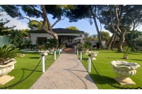 Villa i Orihuela Costa, Alicante - foto 3