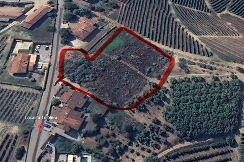 Tomt i Barbaresco, Cuneo, Barbaresco - € 620 000 | Ref: 13550 - foto 5