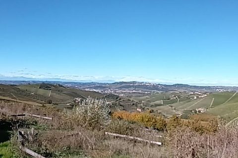 Tomt i Barbaresco, Cuneo, Barbaresco - € 620 000 | Ref: 13550 - foto 8