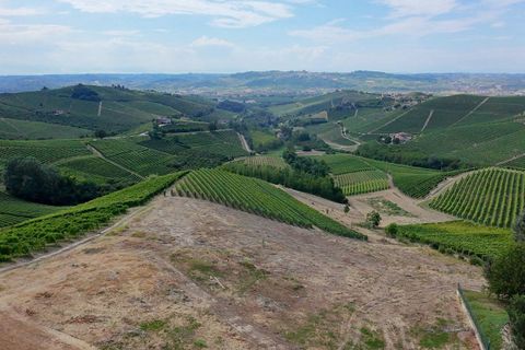 Tomt i Barbaresco, Cuneo, Barbaresco - € 620 000 | Ref: 13550 - foto 2