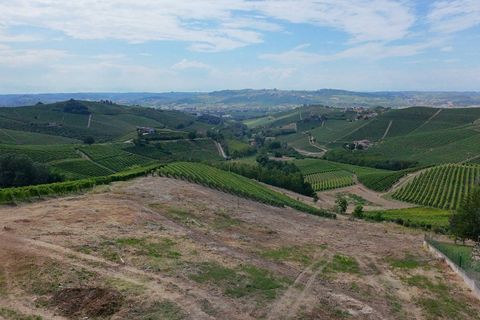 Tomt i Barbaresco, Cuneo, Barbaresco - € 620 000 | Ref: 13550 - foto 9