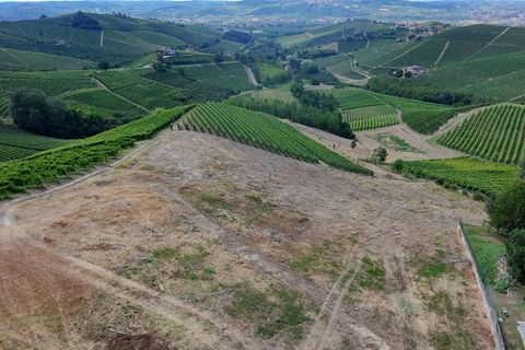 Tomt i Barbaresco, Cuneo, Barbaresco - € 620 000 | Ref: 13550 - foto 12