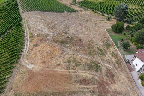 Tomt i Barbaresco, Cuneo, Barbaresco - € 620 000 | Ref: 13550 - foto 13