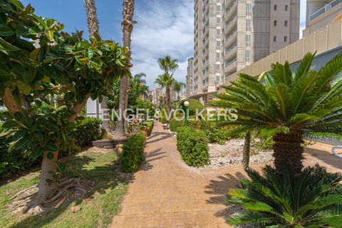 Penthouse in Benidorm, Alicante, Benidorm - € 549.000 | Ref: W-030W9F - Foto 21
