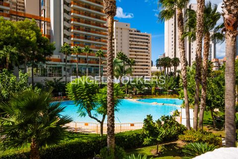 Penthouse in Benidorm, Alicante, Benidorm - € 549.000 | Ref: W-030W9F - Foto 22