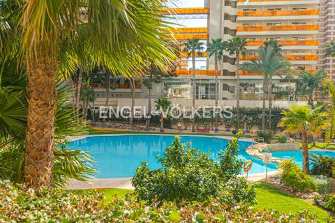 Penthouse in Benidorm, Alicante, Benidorm - € 549.000 | Ref: W-030W9F - Foto 25