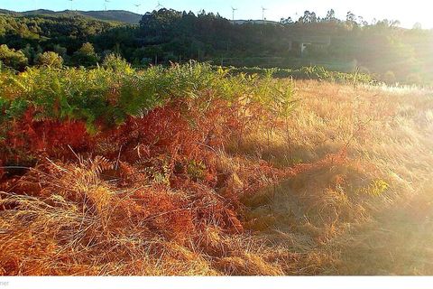Farm i Moncao, Viana do Castelo, Moncao - € 60.000 | Ref: SF-SAFTI:007061 - foto 2