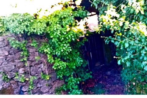 Farm i Moncao, Viana do Castelo, Moncao - € 60.000 | Ref: SF-SAFTI:007061 - foto 4