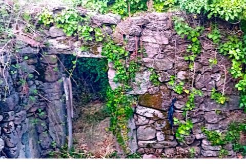 Farm i Moncao, Viana do Castelo, Moncao - € 60.000 | Ref: SF-SAFTI:007061 - foto 5