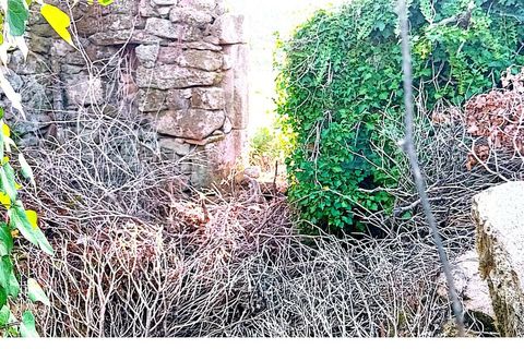 Farm i Moncao, Viana do Castelo, Moncao - € 60.000 | Ref: SF-SAFTI:007061 - foto 6