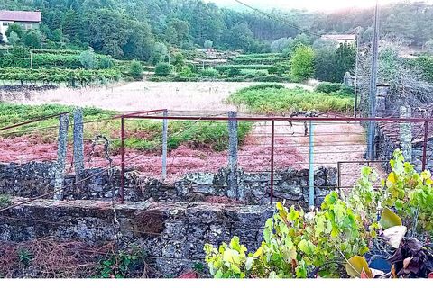 Farm i Moncao, Viana do Castelo, Moncao - € 60.000 | Ref: SF-SAFTI:007061 - foto 7
