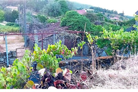 Farm i Moncao, Viana do Castelo, Moncao - € 60.000 | Ref: SF-SAFTI:007061 - foto 8
