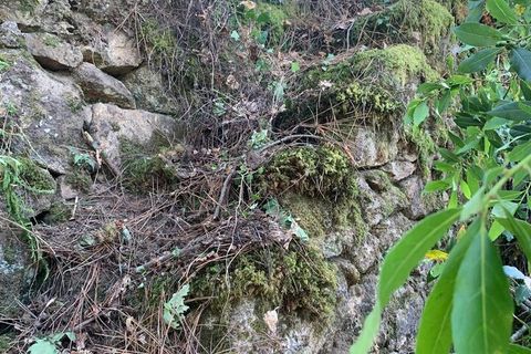 Farm i Melgaco, Viana do Castelo, Melgaco - € 330.000 | Ref: SF-SAFTI:007064 - foto 3