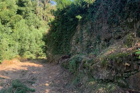 Farm i Melgaco, Viana do Castelo, Melgaco - € 330.000 | Ref: SF-SAFTI:007064 - foto 4