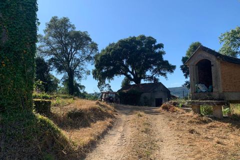 Farm i Melgaco, Viana do Castelo, Melgaco - € 330.000 | Ref: SF-SAFTI:007064 - foto 6