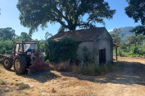 Farm i Melgaco, Viana do Castelo, Melgaco - € 330.000 | Ref: SF-SAFTI:007064 - foto 7