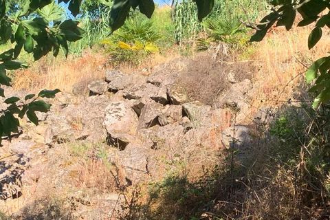 Farm i Melgaco, Viana do Castelo, Melgaco - € 330.000 | Ref: SF-SAFTI:007064 - foto 9