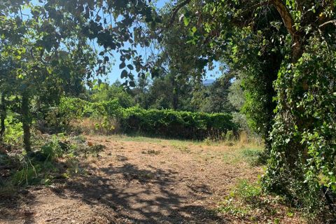 Farm i Melgaco, Viana do Castelo, Melgaco - € 330.000 | Ref: SF-SAFTI:007064 - foto 15
