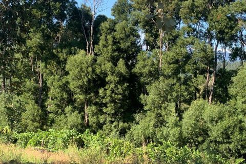 Farm i Melgaco, Viana do Castelo, Melgaco - € 330.000 | Ref: SF-SAFTI:007064 - foto 16