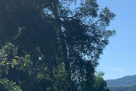 Farm i Melgaco, Viana do Castelo, Melgaco - € 330.000 | Ref: SF-SAFTI:007064 - foto 17