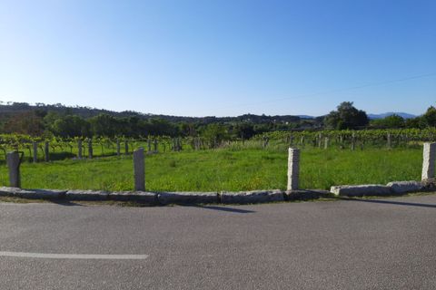 Helårsgrund i Moncao, Viana do Castelo, Moncao - € 33.000 | Ref: SF-SAFTI:001087 - foto 3