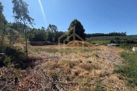 Helårsgrund i Barcelos, Braga, Barcelos - € 300.000 | Ref: TER_001_07BCL - foto 14