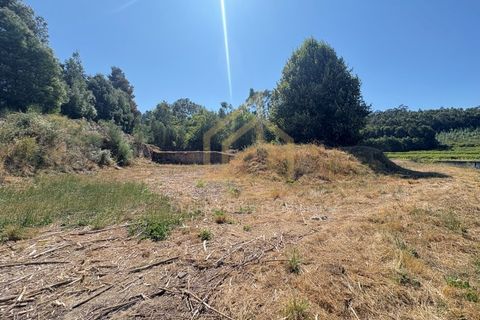 Helårsgrund i Barcelos, Braga, Barcelos - € 300.000 | Ref: TER_001_07BCL - foto 16