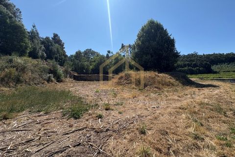 Helårsgrund i Barcelos, Braga, Barcelos - € 300.000 | Ref: TER_001_07BCL - foto 17