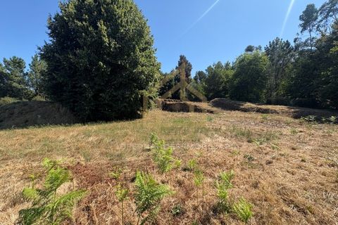Helårsgrund i Barcelos, Braga, Barcelos - € 300.000 | Ref: TER_001_07BCL - foto 20