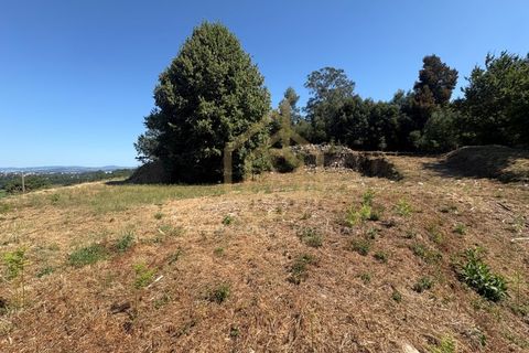 Helårsgrund i Barcelos, Braga, Barcelos - € 300.000 | Ref: TER_001_07BCL - foto 21