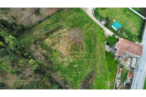 Helårsgrund i Barcelos, Braga, Barcelos - € 300.000 | Ref: TER_001_07BCL - foto 22