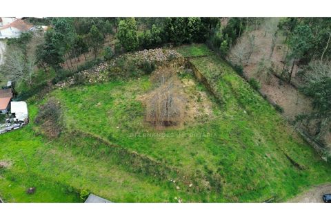 Helårsgrund i Barcelos, Braga, Barcelos - € 300.000 | Ref: TER_001_07BCL - foto 25