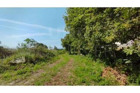 Helårsgrund i Areosa, Viana do Castelo, Areosa - € 100.000 | Ref: UNU-F3-74-2 - foto 3