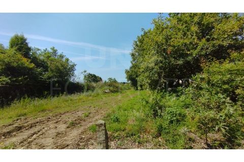 Helårsgrund i Areosa, Viana do Castelo, Areosa - € 100.000 | Ref: UNU-F3-74-2 - foto 4